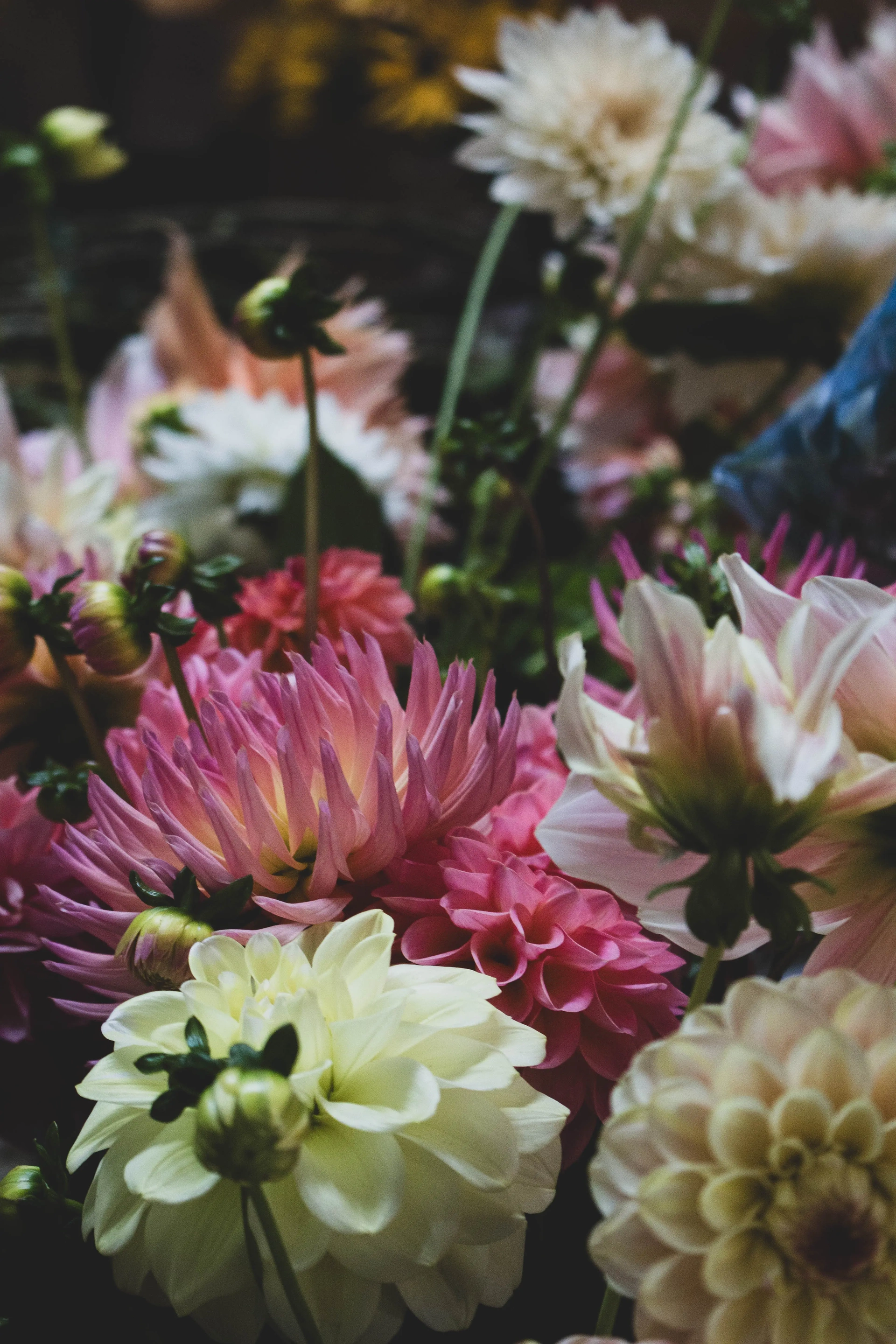 Autumnal wedding at Trevenna barns 1