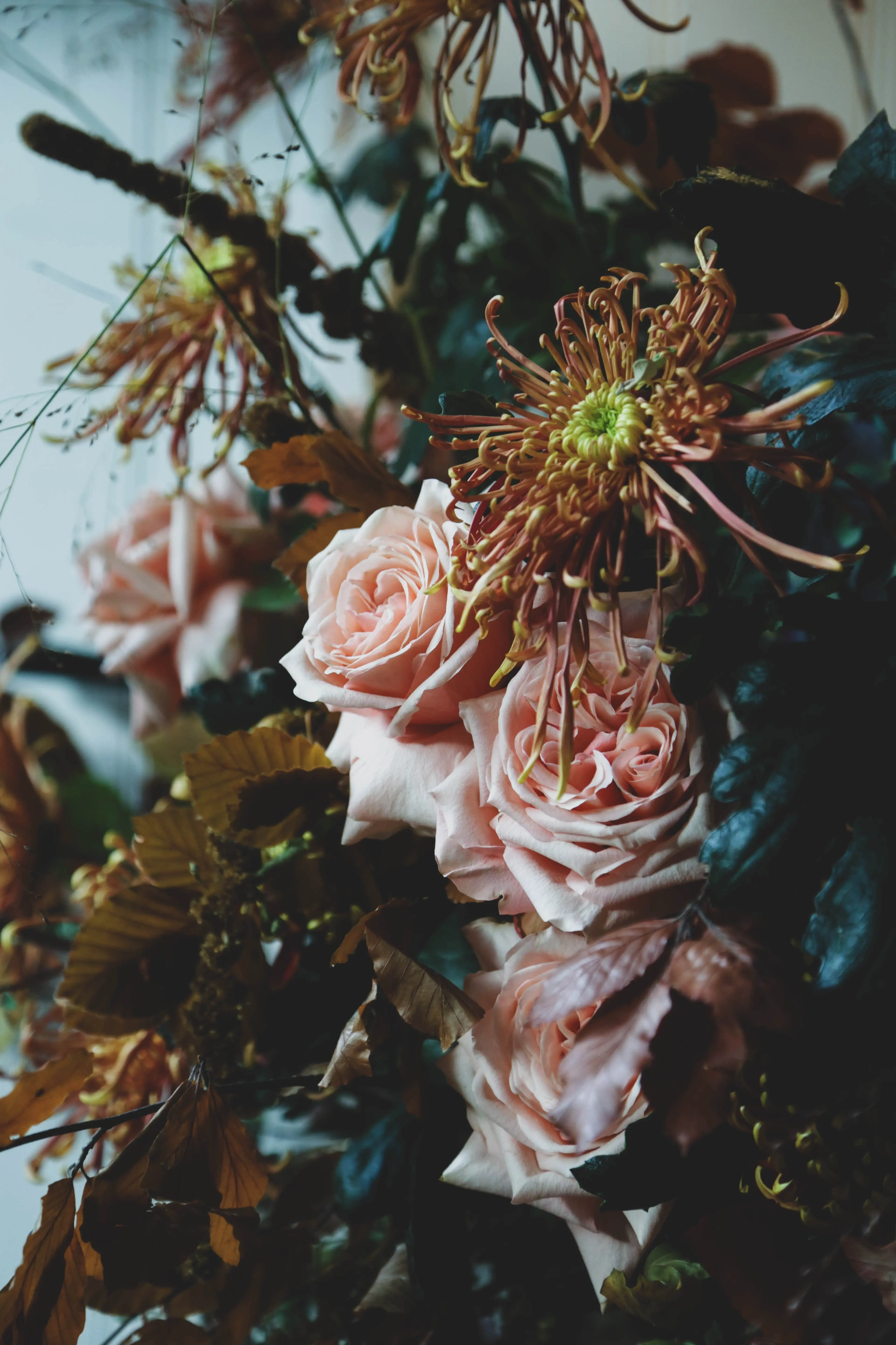 Autumnal Showcase for Spook London 1